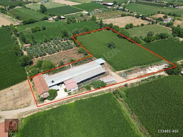 DUHA'DAN TAM DONANIMLI 12778M ÇİFTLİK TARLA VE EV