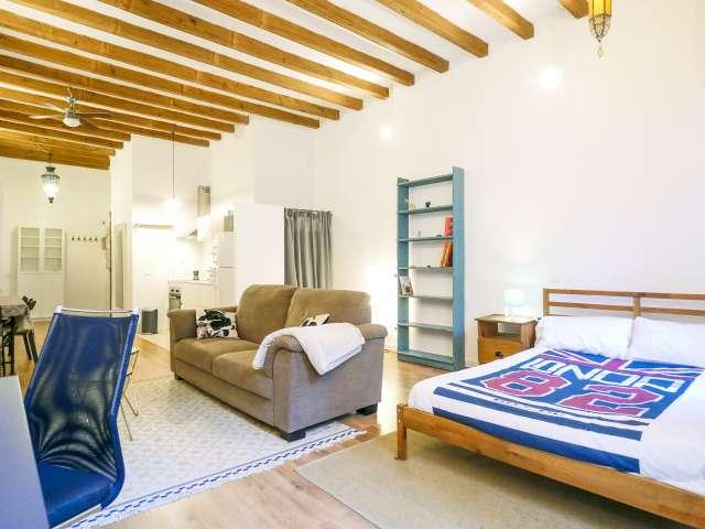 Estudio en alquiler Sant Pere Santa Caterina i la Ribera
