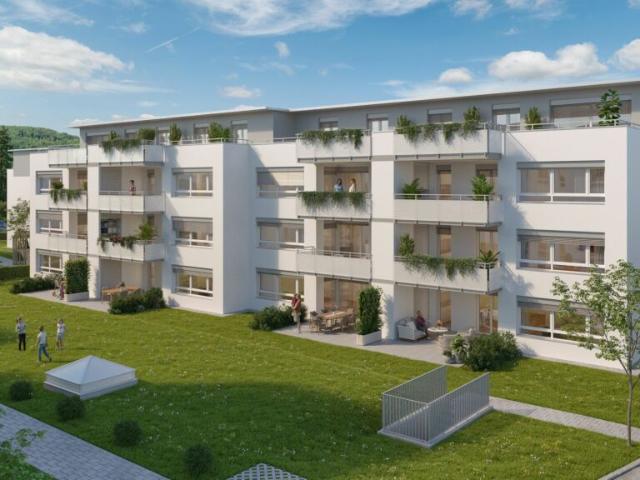 Dulliken Dullirain letzte 3.5 Zimmerwohnung
