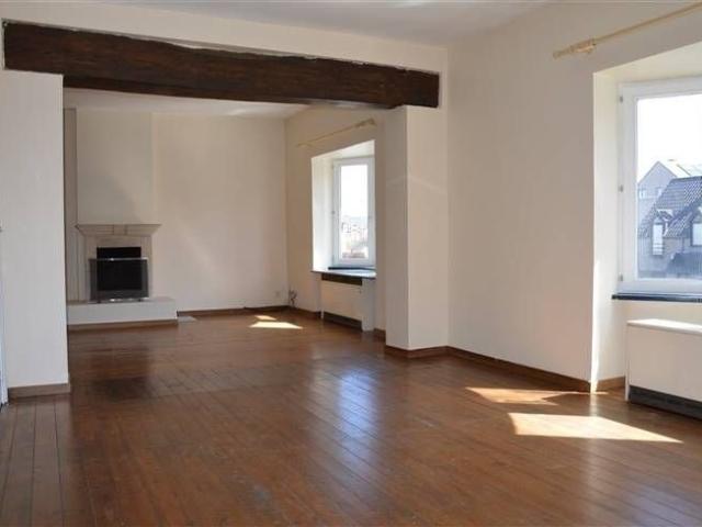 Duplex/triplex