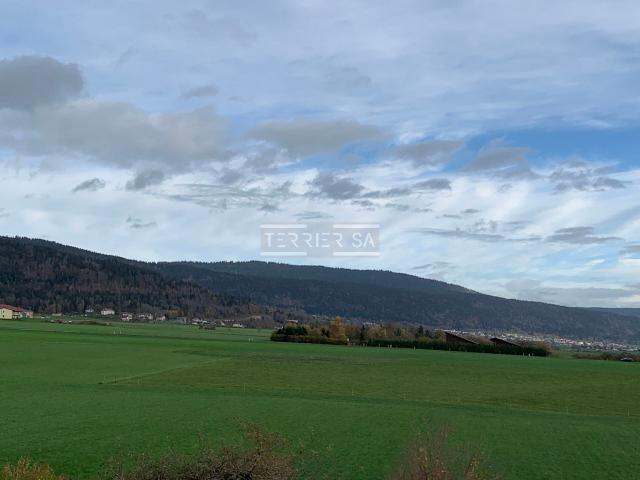 Duplex/two level with 5 rooms on sale in Coffrane | dreamo. Ch