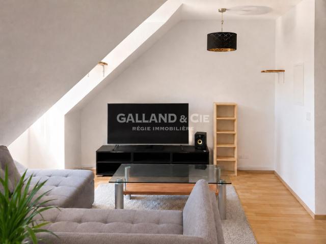 Duplex/two level with 2 rooms for rent in Gimel 45 m² | dreamo. Ch