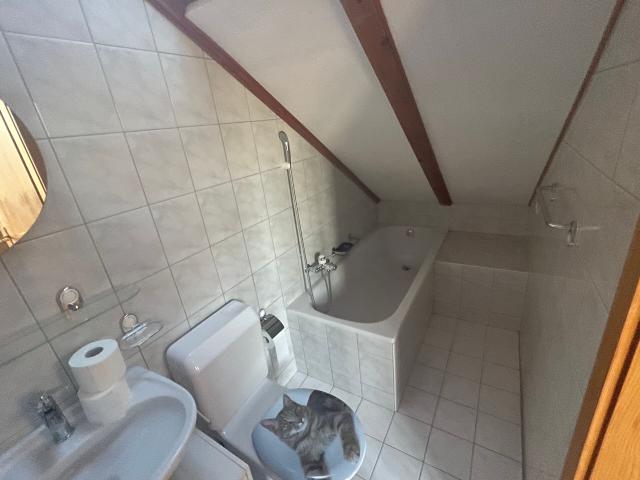 Duplex/two level with 3 rooms for rent in Aesch 76 m² | dreamo. Ch