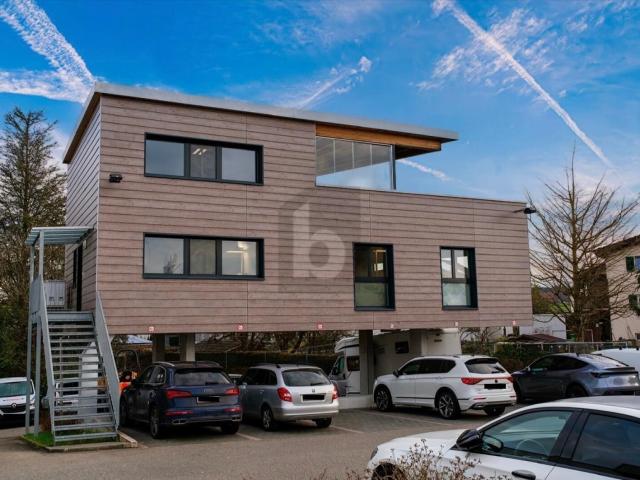 Duplex/two level with 3.5 rooms for rent in Hochdorf Ref 1410 | dreamo. Ch