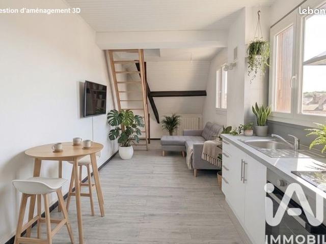 Duplex 3 pièces 46 m²