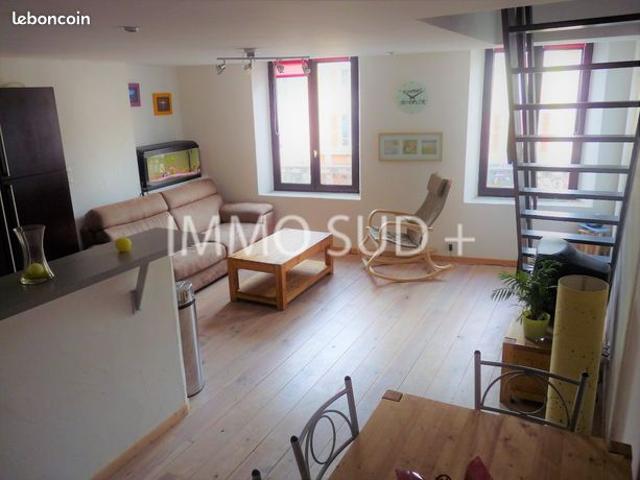 Duplex 3 pièces 53 m²