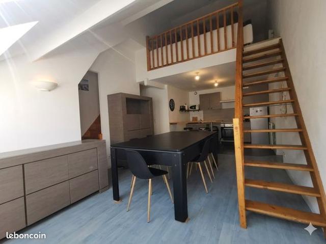 Duplex 3 pièces 66 m²