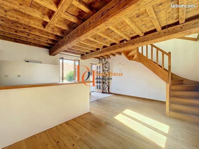 Duplex 1 pièce 42 m²