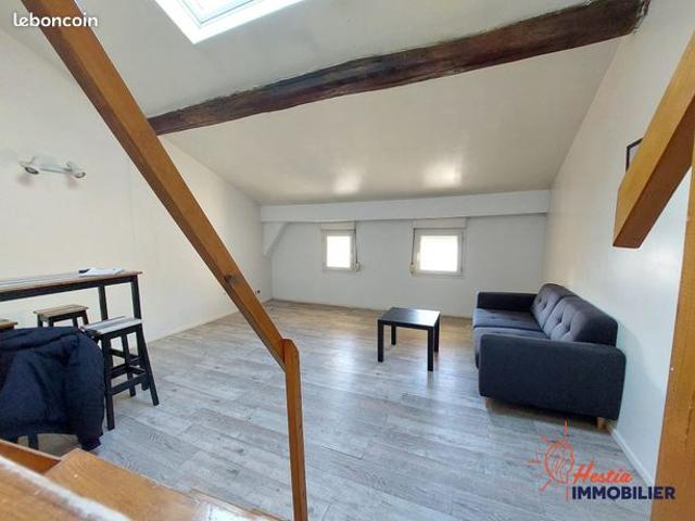 Duplex 1 pièce 49 m²