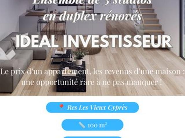 Duplex 1 pièce 100 m²
