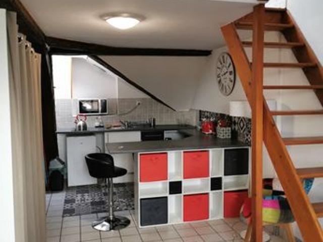 Duplex 1 pièce 20 m²