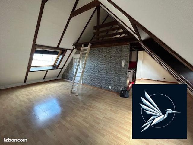 Duplex 1 pièce 31 m²