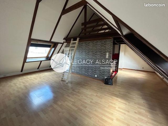 Duplex 1 pièce 31 m²