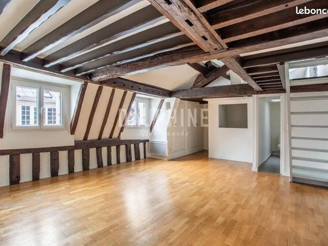 Duplex 1 pièce 34 m²