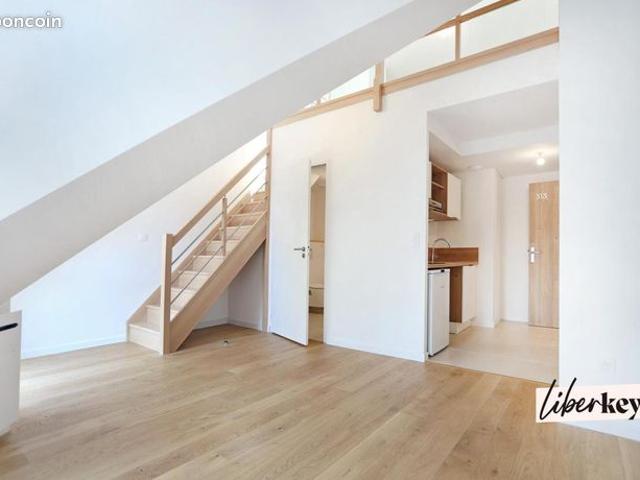Duplex 1 pièce 38 m²