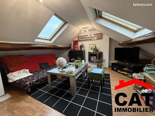Duplex 2 pièces 20 m²