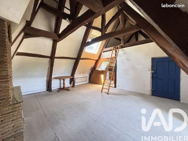Duplex 2 pièces 45 m²