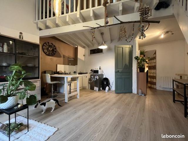 Duplex 2 pièces 47 m²