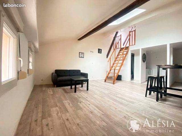 Duplex 2 pièces 49 m²