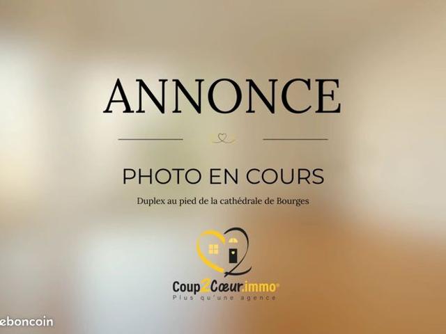 Duplex 4 pièces 114 m²