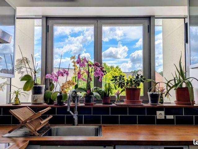 Duplex 4 pièces 81 m²