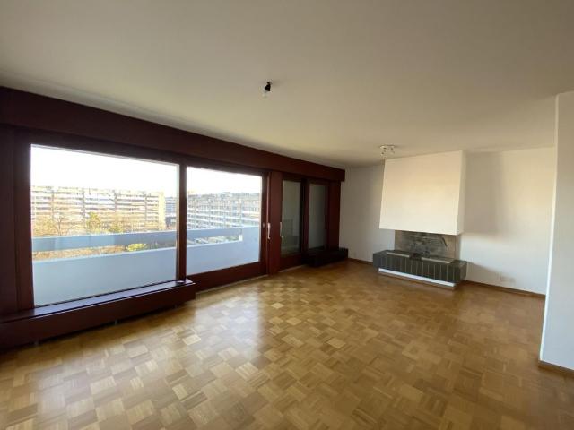 Duplex apartment breathtaking view of Geneva