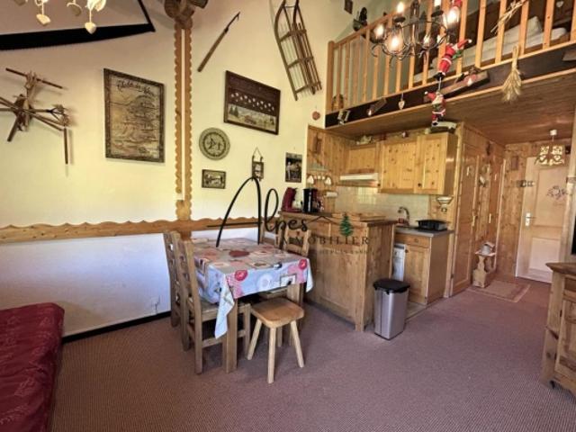 Duplex aux pieds des pistes