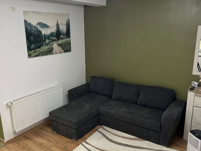 Duplex/ Bucovinei Cetatii 2 camere Centrala Proprie, Clima
