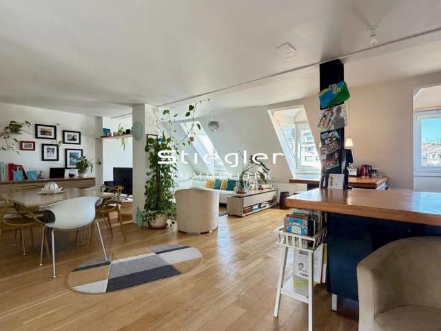Duplex de charme sous les toits – Vue Ponts Couverts – Quai