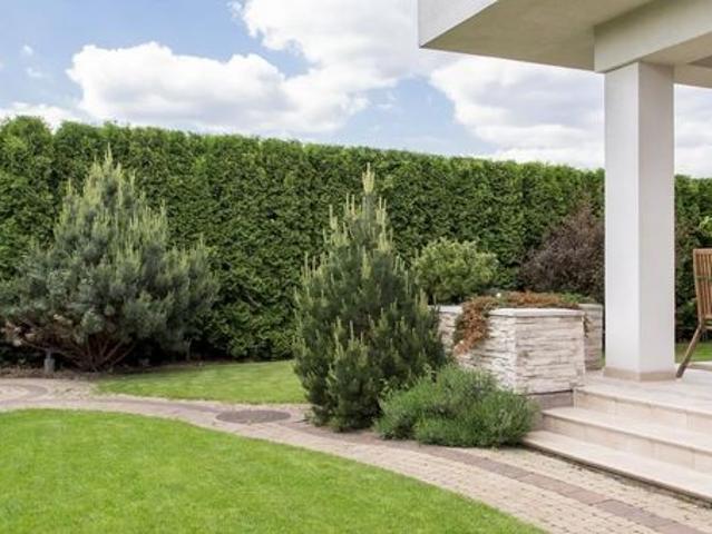 Duplex de luxe de 97 m2 en vente Chatou, France