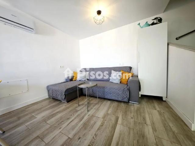Dúplex en alquiler en Calle Doctor Agustín Millares Carlo