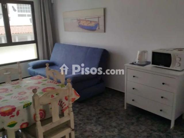 Dúplex en alquiler en Urbanización Playa Palmeras, 4