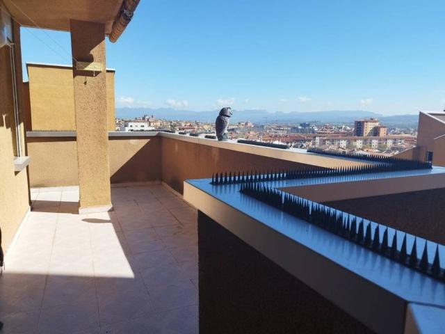 Dúplex en Alquiler en Vic