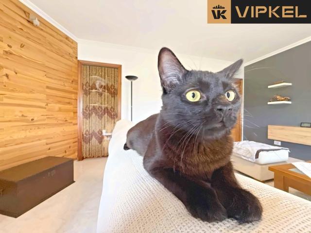 Dúplex en venta en Narón La Coruña