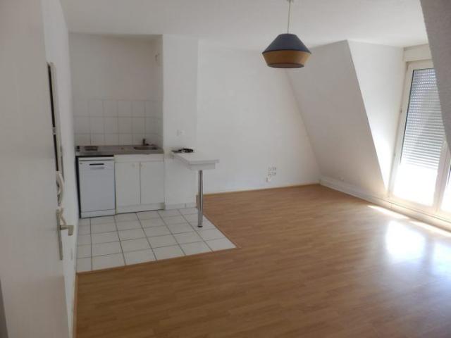 Duplex Strasbourg CLINIQUE STE ANNE PISCINE