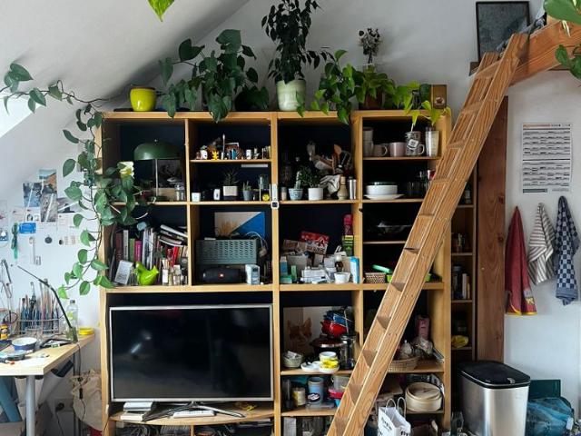 Duplex penthouse 3e verdiep Lentestraat 85