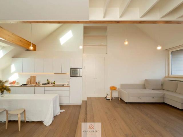 Duplex penthouse/loft in hartje Gent!