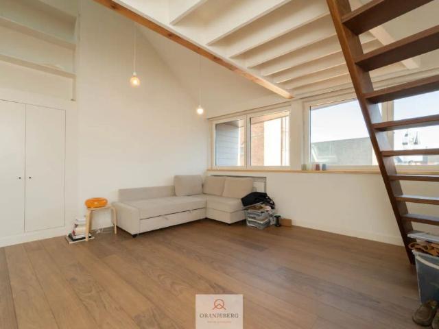Duplex penthouse/loft in hartje Gent!