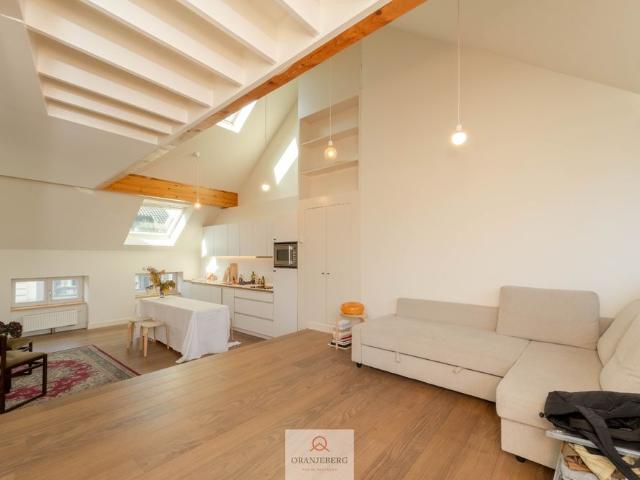 Duplex penthouse/loft in hartje Gent!