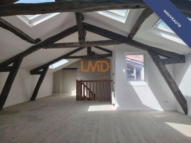 Duplex T3 avec vue sur la collégiale et grande cave voutée