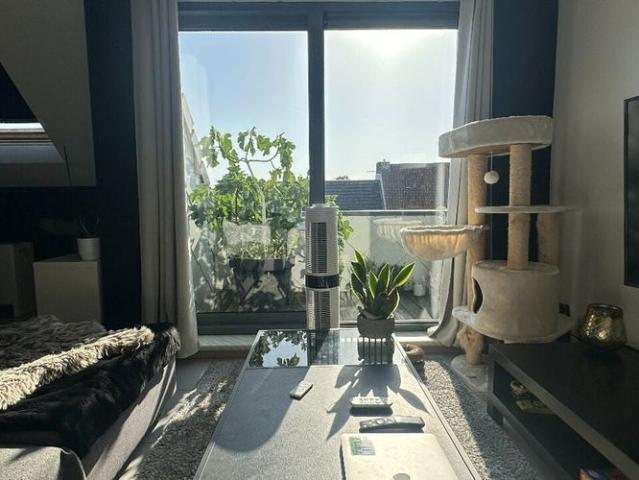 Duplex te huur in Torhout voor € 725 met 1 slaapkamer