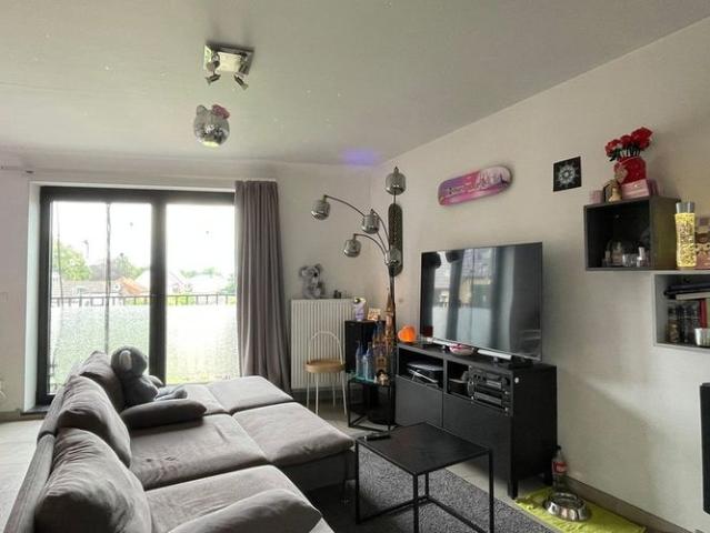 Duplex te huur in Lokeren voor € 800 met 1 slaapkamer