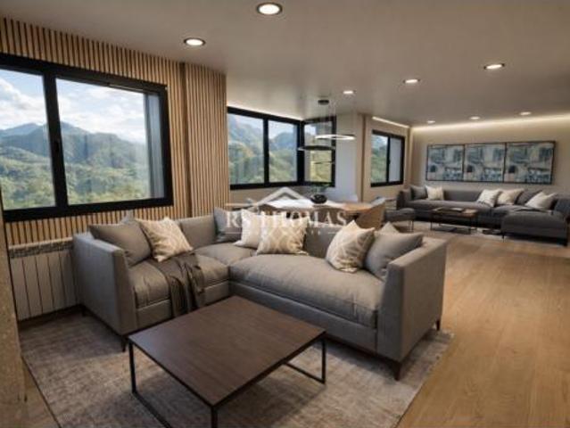 Dúplex Venta La Massana, L'Aldosa