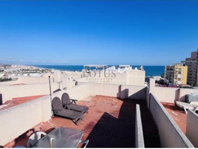 Dúplex Venta Torrevieja, Torrevieja