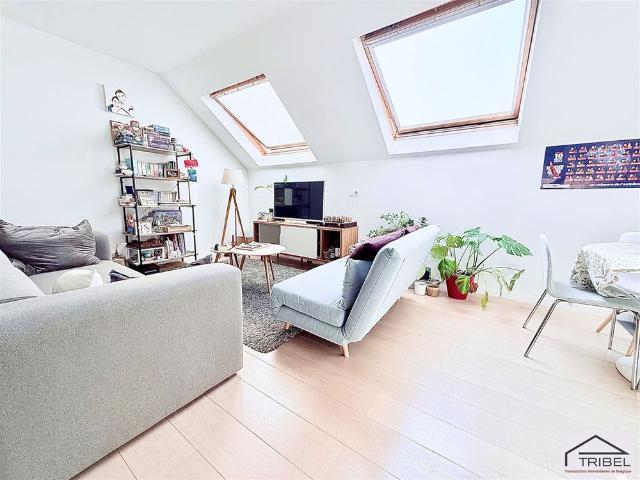 Duplex/Penthouse à IXELLES 1050