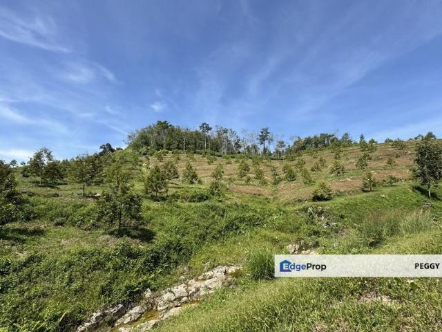 Durian Farm Land @ Gerik, Perak For