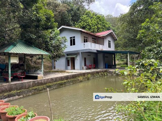Dusun Tua, Batu 17