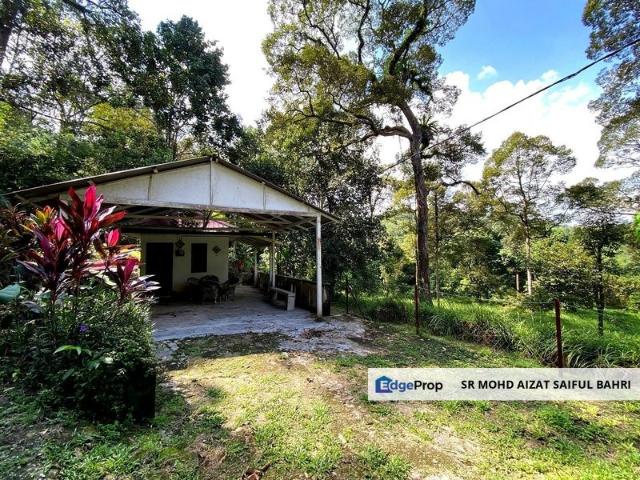 Dusun Tua, Batu 17
