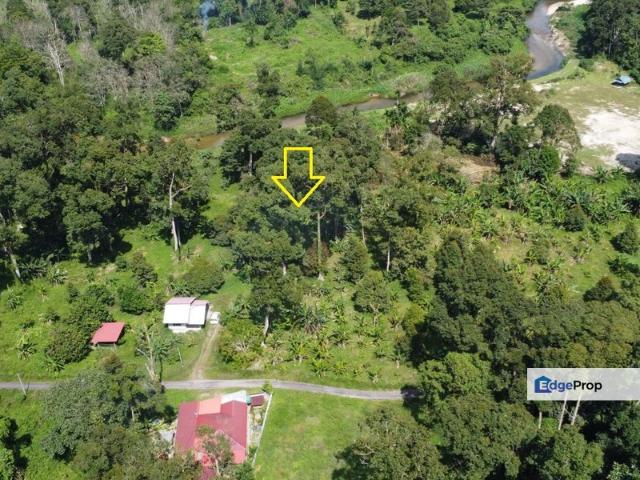 Dusun durian 4.1ekar plus rezab sungai 1 ekar Sedim, Kulim, Kedah