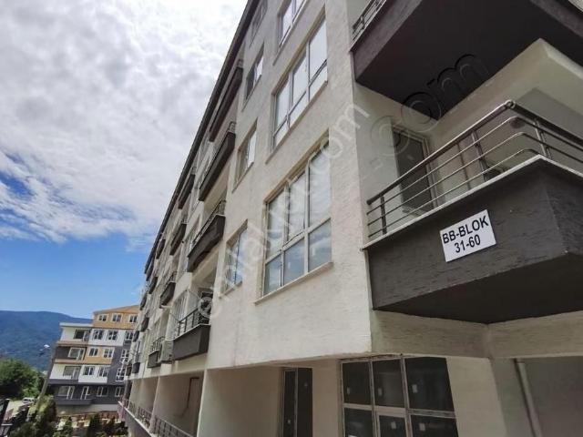 Düzayak Daire Arayanlara 1+1 Satılık